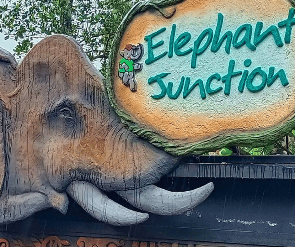 Elephant Junction